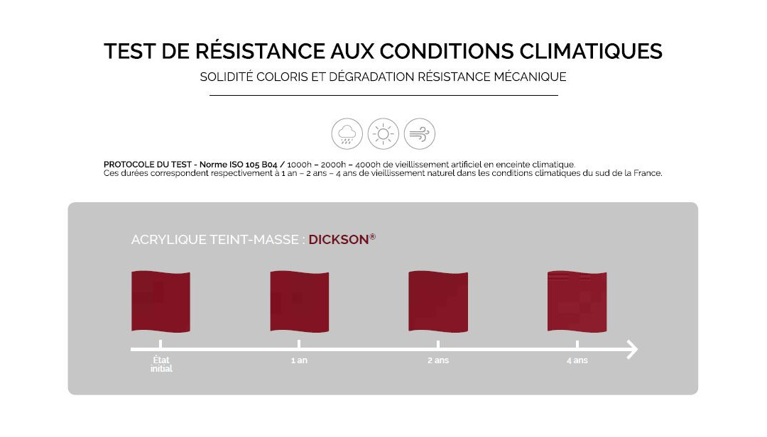 Acrylique Teint masse Dickson